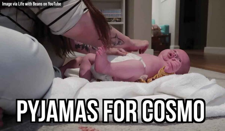 Image via Life with Beans on YouTube