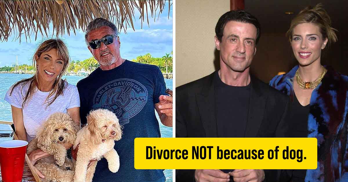 Sylvester Stallone says his Dog is NOT the Reason of his Divorce