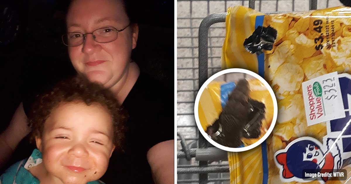 Virginia Woman Found a Snake Inside a Popcorn Bag at the Local Grocery Store