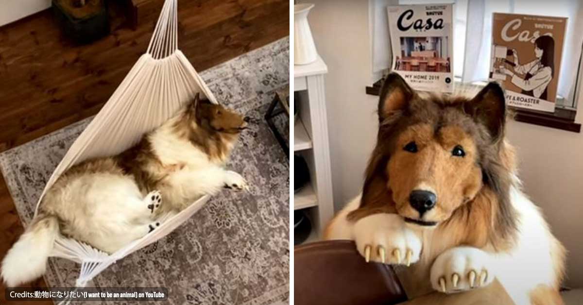 Man who became a dog after spending £12,480 worries his friends will think he’s weird