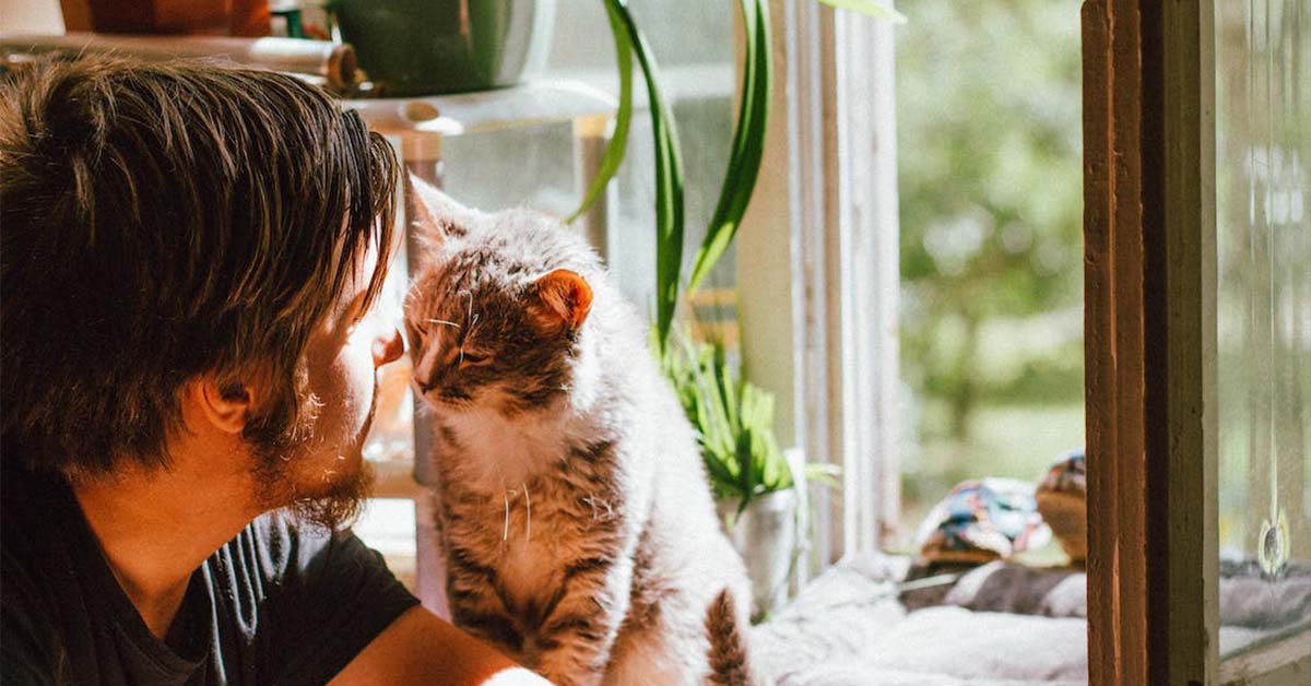 Man Asks AITA For Kicking Out his Fiancée’s Pregnant Sister After She Abandoned his Cat on the Streets