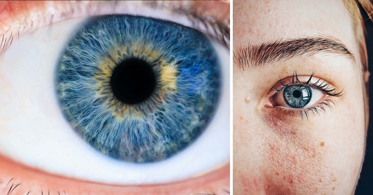 Every Blue-Eyed Person on Earth is a Descendant of One Single Human