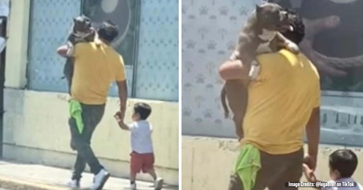 Dad Sparked Debate After being spotted Carrying his Dog instead of his Son