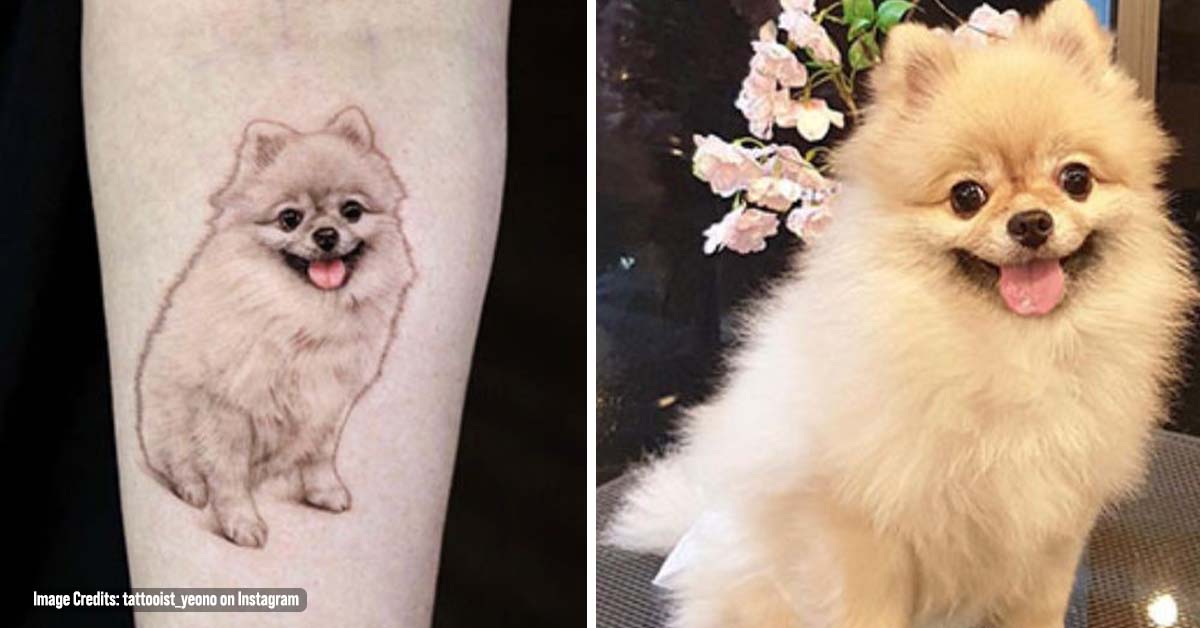 30+ Times Tattoo Artists Created Spot-On Pet Tribute Tattoos