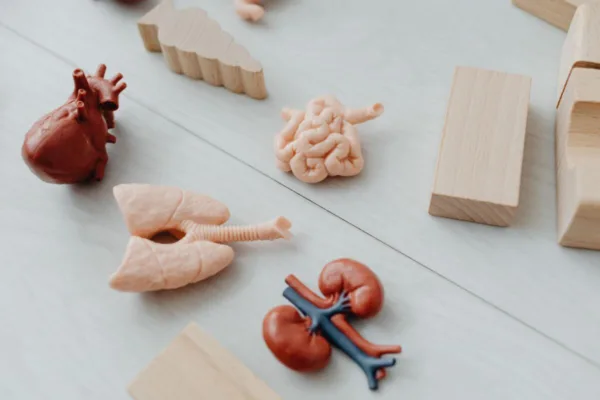 6 Habits That Hurt Your Kidneys (And What to Do Instead)